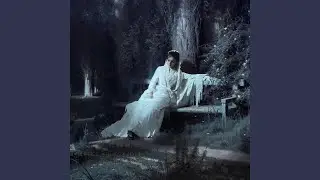 Moonlit Drift