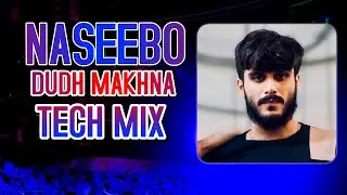 DUDH MAKHNA DI PALI (NASEEBO LAL) MUJRA MIX BY EBRAHIM HASAN
