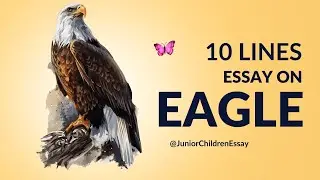 Ten Lines About Essay on Eagle | Short Essay on Eagle in English | Junior Children Essay