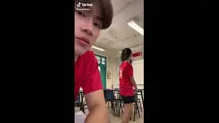 Tiktok Trending | bat flew out in the end safely but this was a terrifying experience
