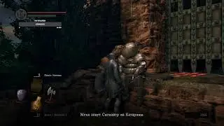 Dark Souls | Стрим на День Рождения)