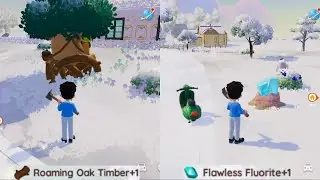 Roaming Oak Timber and Flawless Fluorite Location 1/12/2026 | Heartopia
