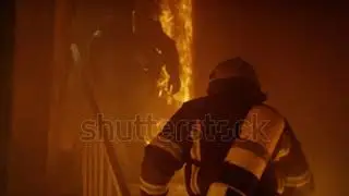 Slow Motion Stock Video Footage   4K and HD Video Clips   Shutterstock 8