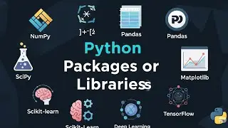 The Power of Python Libraries: What You NEED to Know! (Modules, Packages, & Pip)