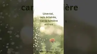 Promesse du jour
