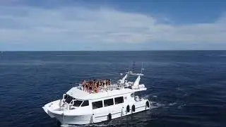 Rent the Gran Catamaran Marbella &bull; Hire a Yacht Marbella Nr1 Website &bull; M&aacute;laga, Spain