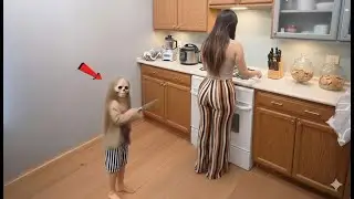 BEST SCARECAM Pranks Reactions 2026 😂# 26 //Jumpscare //Funny Videos // Pranks Cam 1.0