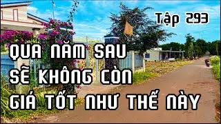 lô đất vườn giá còn quá tốt để đầu tư.đất vườn vùng ven bà rịa vũng tàu
