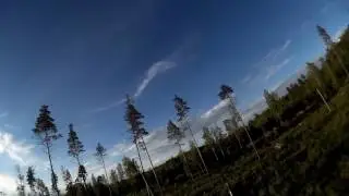 Treedancing