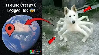 I Found Creepy 8 Legged Dog in Real Life On Google Earth and Google Maps 😱!