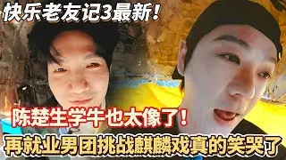 快乐老友记3最新：陈楚生学牛也太像了！再就业男团挑战麒麟戏真的笑哭了#快乐再出发 #0713 #再就业男团 #搞笑#快乐老友有风季#张远