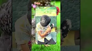 Nature's Artwork 🌸🐓 | Aryan Nihar M | #shorts #shortsfeed #cute