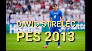 David Strelec (&Scaron;K Slovan Bratislava-Slovakia) Pes 2013