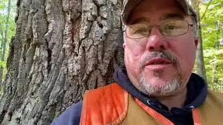Squirrel hunting on 10/8/2020