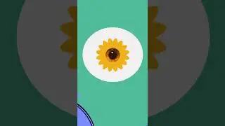 Check Your Eyes