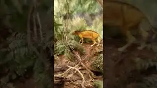 Utah field house of natural history pt one