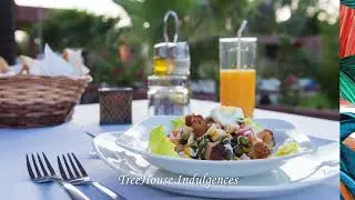 TreeHouse Holidays