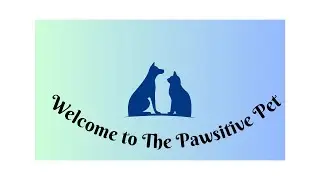 Welcome to The Pawsitive Pet