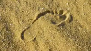 W&uuml;ste Gro&szlig;er Sandsee - W&uuml;ste Grosse Sandsee - Teil 1 - Great Sand Sea - &Auml;gypten -  Nikbarte.it