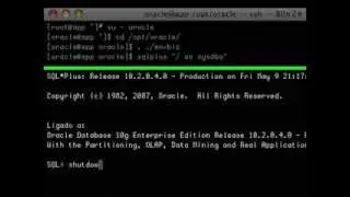 Configuring Oracle Database to use Archive Log Mode