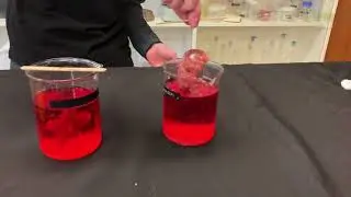 🧪Colourful Crystal Making 🧪