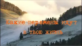 Какие перемены идут в твою жизнь?