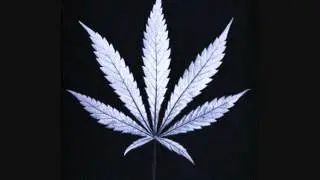 Blaze Daily Krew - Murderous Flow
