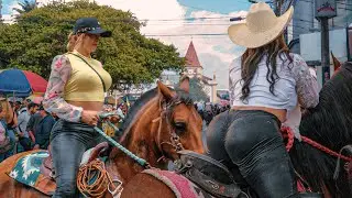 Incredible Horse Riding Sunset 😍 Stunning Women Rules the Rodeo 🐴