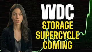 This Memory & Storage Leader Could Benefit Massively from AI Demand | WDC stock analysis