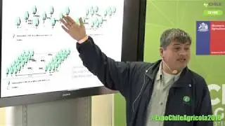 Sistemas agroforestales para el desarrollo sustentable de pequeños propietarios silvoagropercuarios