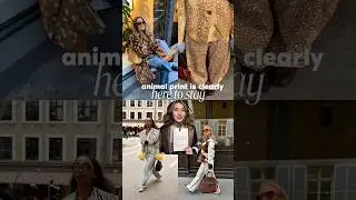 Animal print for 2026
