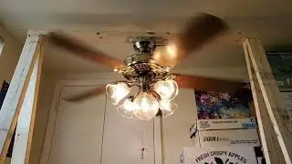 #10 Hunter Summer Breeze Ceiling Fan
