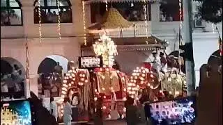 Candy Procession