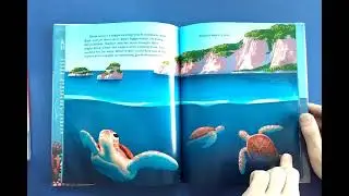 Adelita: A Sea Turtle's Journey