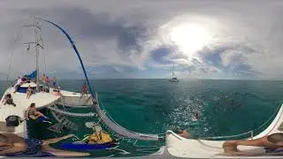 Cayo Coco 2019
