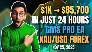 $1,000 Turned $85,700 in 24 Hours | GMS Pro EA Gold Scalping Strategy (XAUUSD Forex Trading Result)