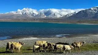 【4K】Motorcycle Tour in Western China 34:Everest Base  Camp, Tibet - Geelong, Tibet