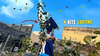 Patang Mil gyi Ajj toh 😚  | kite looting 2026 | 
