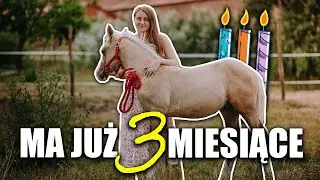 TRZECI MIESIĄC ŹREBAKA 😍 - CO SIĘ ZMIENIŁO?! #VLOG
