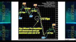 Pips Wizard Pro  Review &ndash; Does It Really Work?