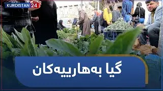 گیا بەهارییەکان