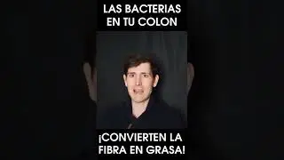 #saludsintonterias #fibra #colon #intestinogrueso #butirato #microbiota #saludintestinal #bacterias