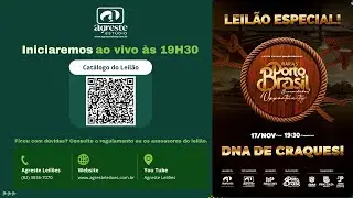LEIL&Atilde;O VIRTUAL HARAS PORTO BRASIL & CONVIDADOS - EDI&Ccedil;&Atilde;O OPPORTUNITY - 17.11.2025