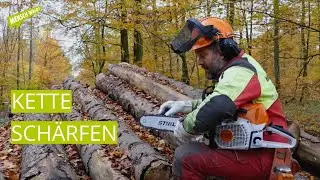 Kette schärfen wie die Profis