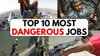 Top 10 Most Dangerous Jobs You Won&rsquo;t Dare to Try