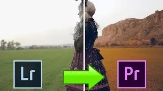 &iexcl;Convierte tus PRESETS de Lightroom en LUTS para V&Iacute;DEO!