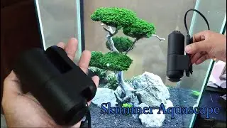 DIY | Mini Skimmer Aquascape Menggunakan Bahan Pipa PVC