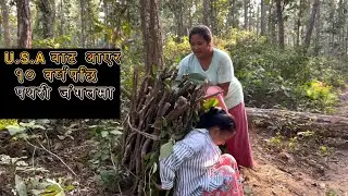 After 10 years , remembering those old moments, going to the pathari jungle to collect firewood.