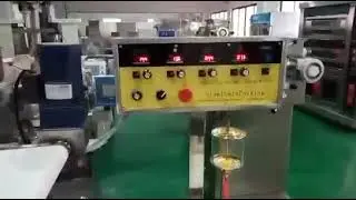 Steamed Stuffed Bun Automatic Momo Making Machine Polished 304SS