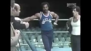 Stallone Rare